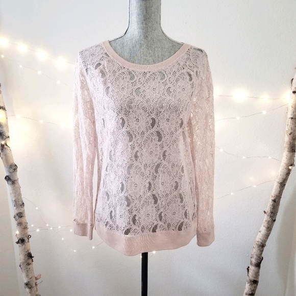 3/$15 LOFT Blush Sheer Lace Top - Picture 2 of 2